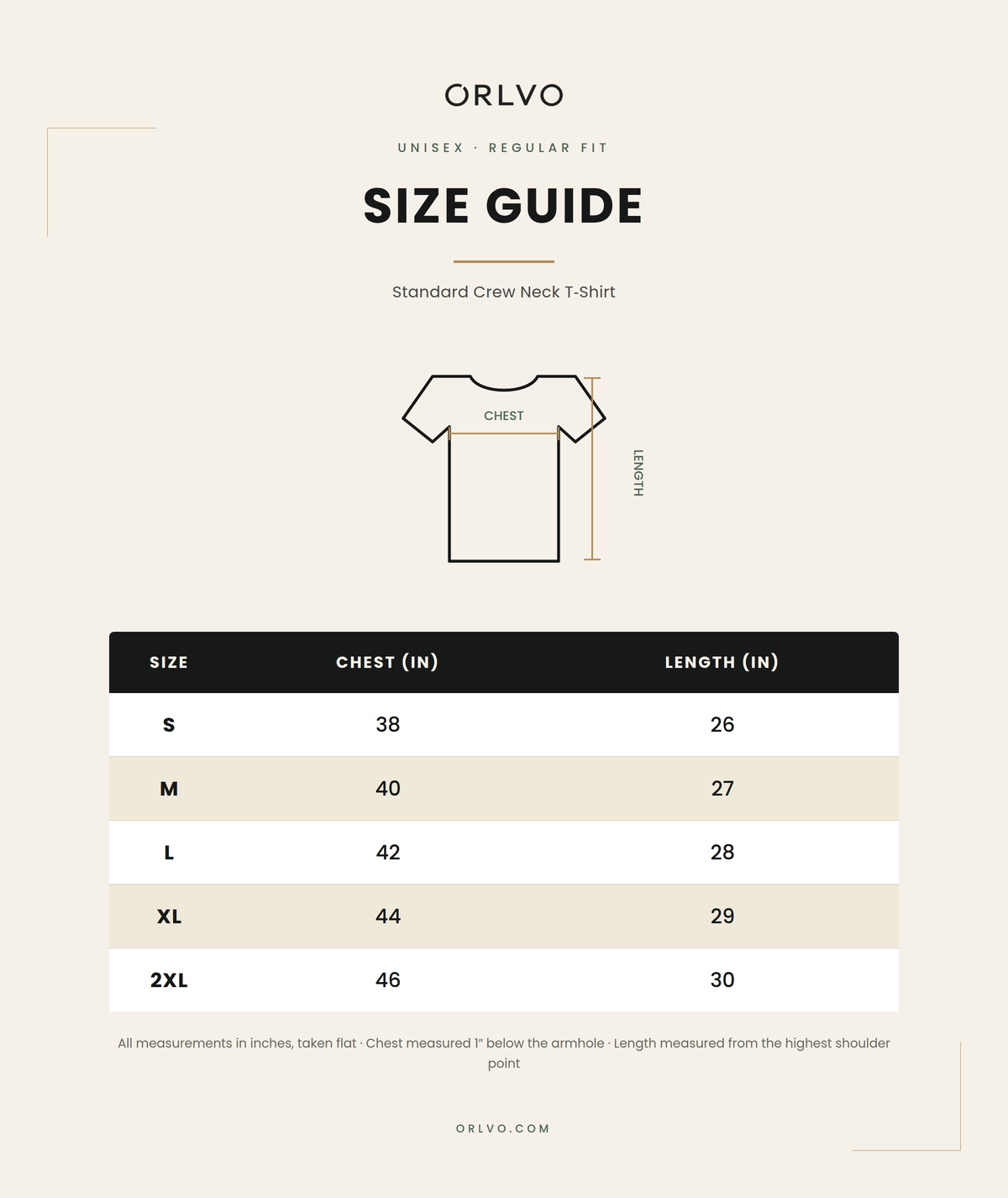 A size guide infographic for an ORLVO standard crew neck T-shirt, showing a simple shirt diagram with chest and length measurements above a size table from S to 2XL with chest and length values in inches.